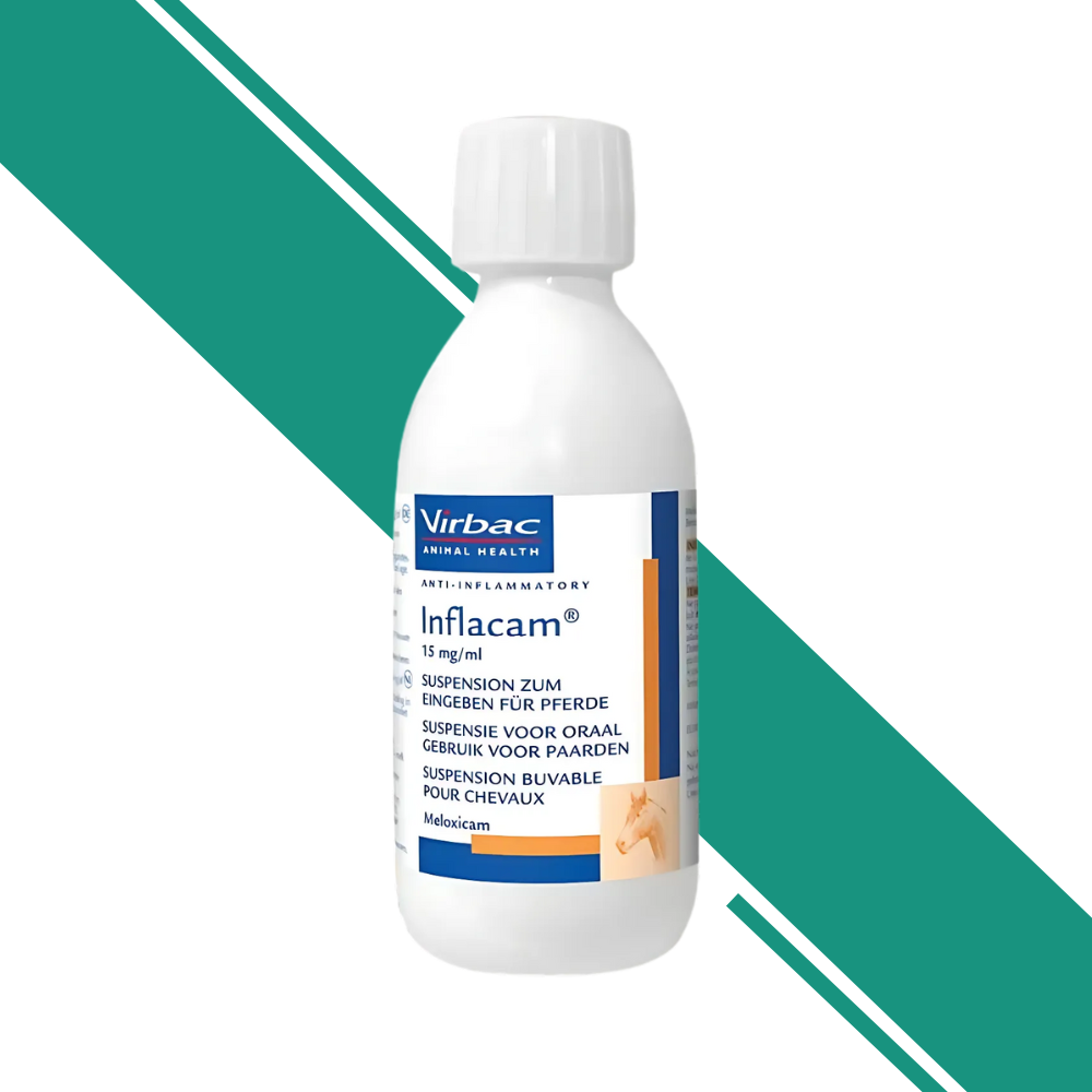 Inflacam 15 mg/ml Oral Suspension for Horses